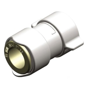 Adattatore BSP femmina Whale