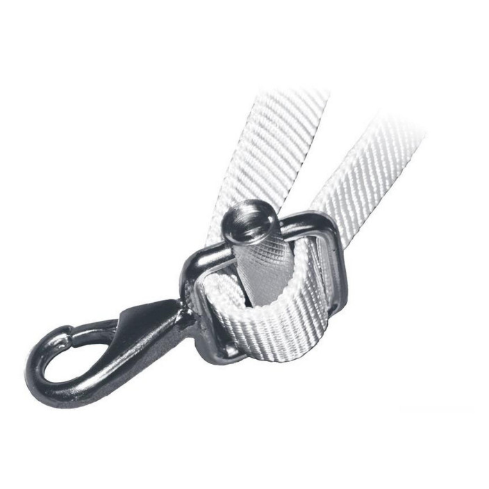 Shackle AISI 316 wbuckle