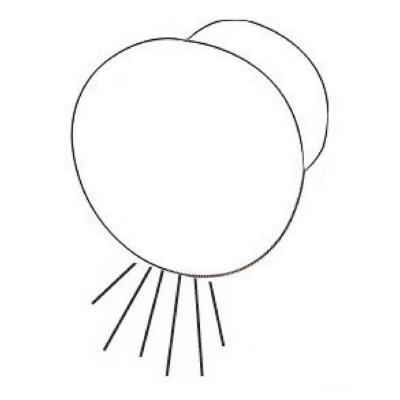 ROUND builtin courtesy light