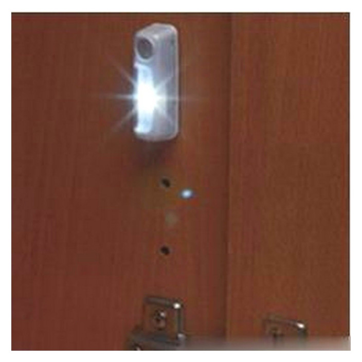 Feton LED courtesy light automatic activation