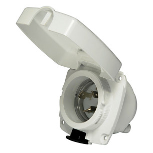New Edge socket