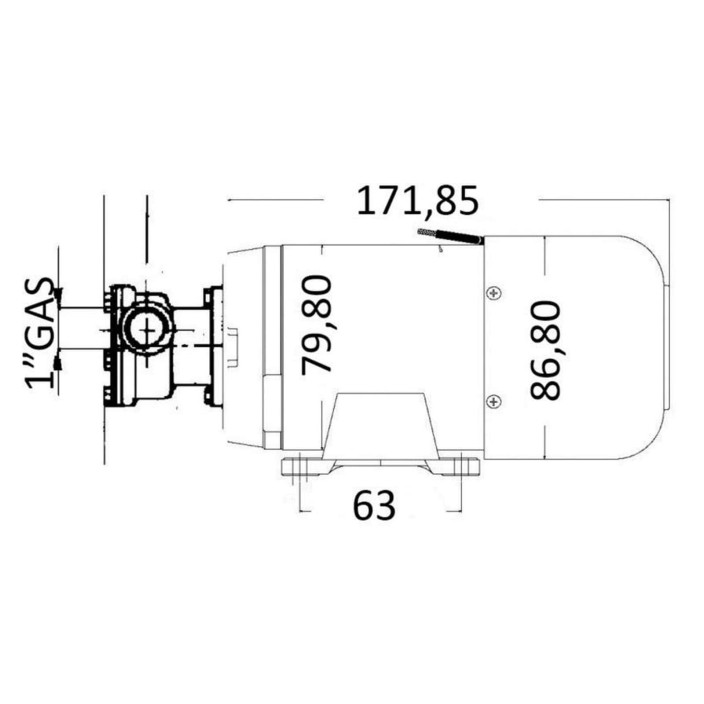 Selfpriming bilge pumpm