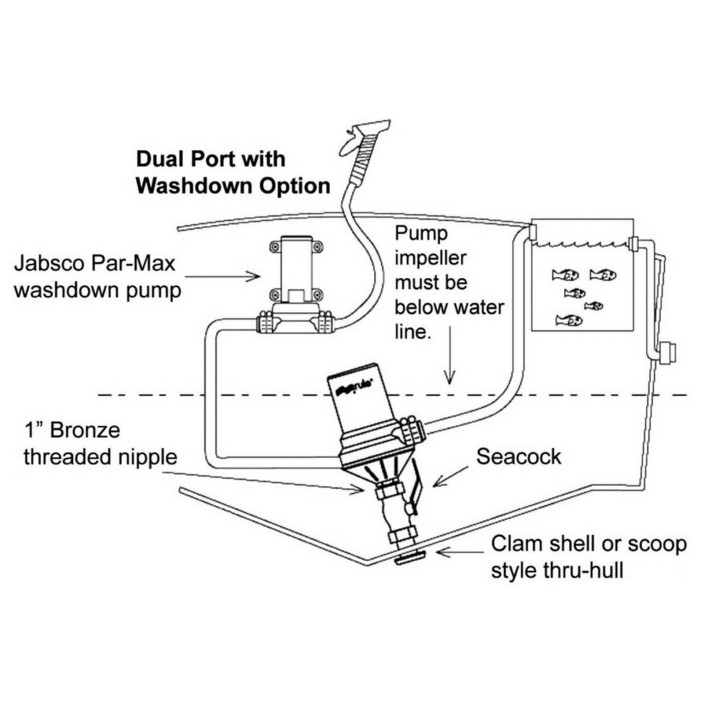 Pompa Rule