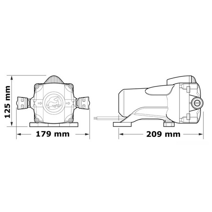 WHALE Watermaster water pump