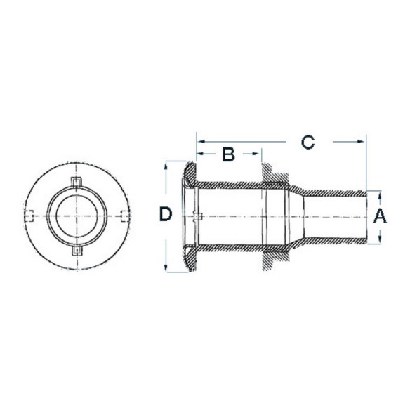 Seacock check valve