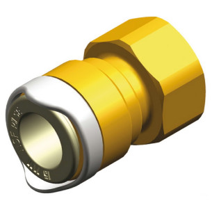 Adattatore BSP ottone Whale