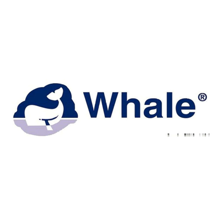 Valvola di intercettazione Whale