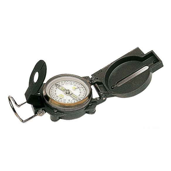 Bearing and steering compass