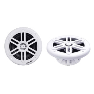 Pairs of dual cone speakers