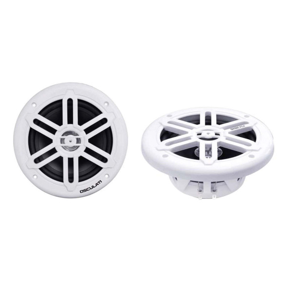 Coppia di casse stereo doppio cono