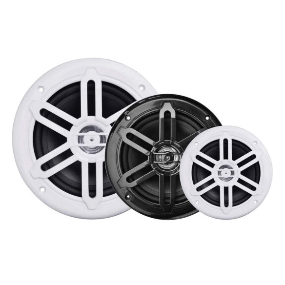 Coppia di casse stereo doppio cono