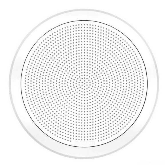 Flush Mount Speaker Round