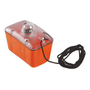 Boetta luminosa Sealux