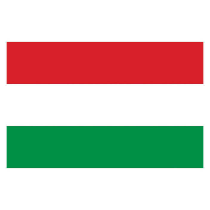 Bandiera Ungheria