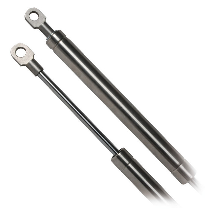 Gas spring AISI 316