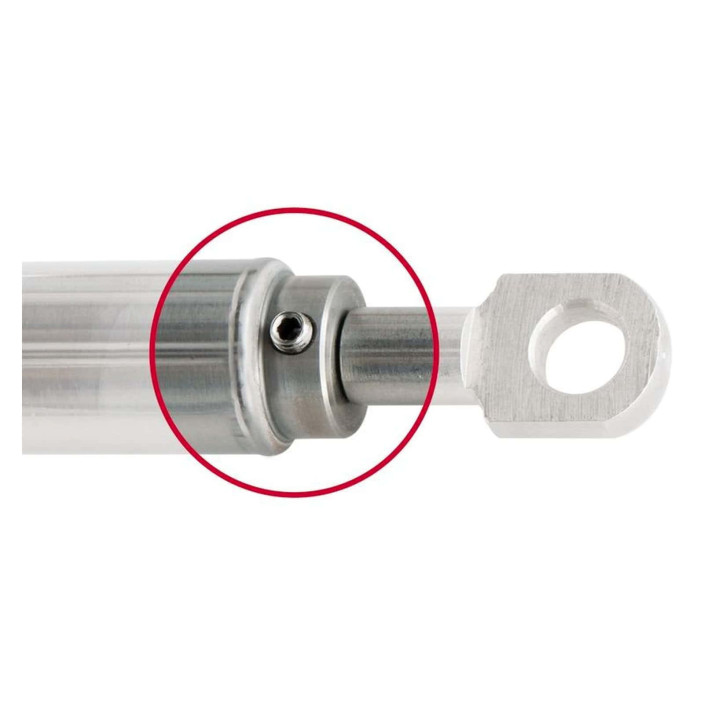 Molla gas inox