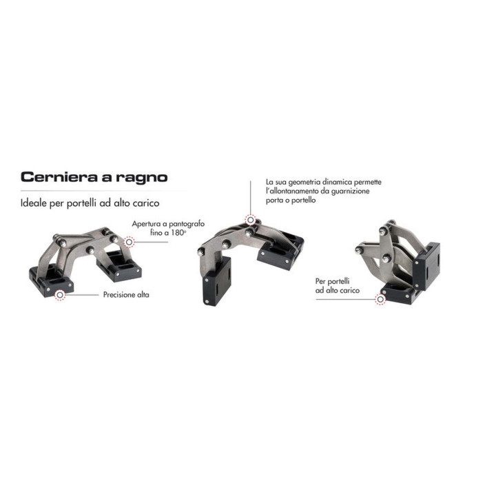 Cerniera ragno