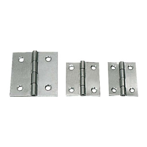 Polished SS hinge