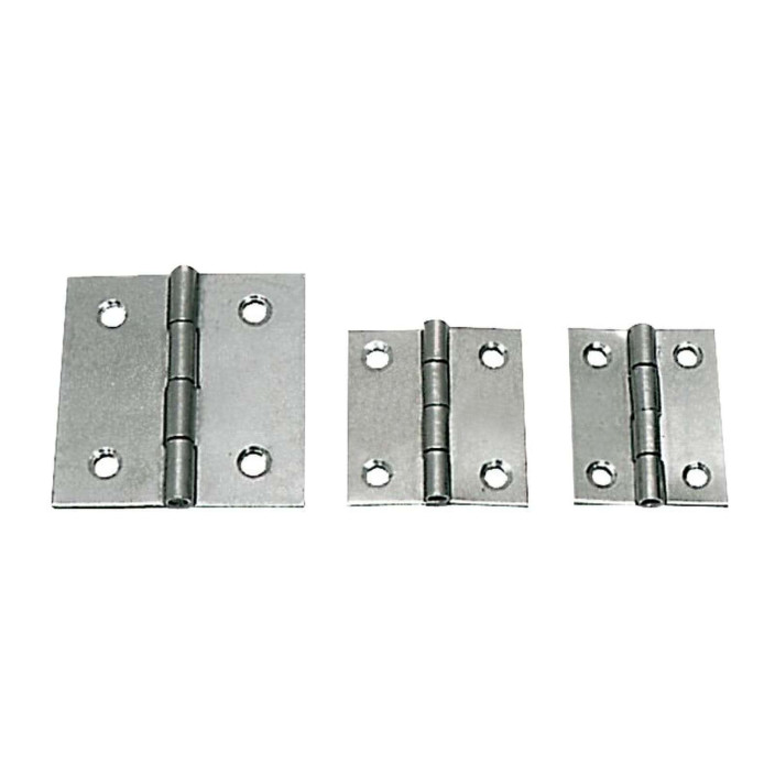 Polished SS hinge
