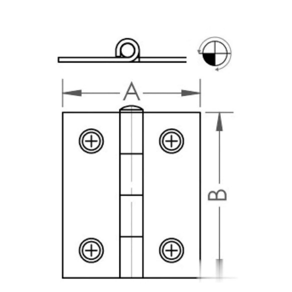 Polished SS hinge
