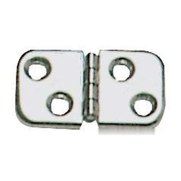 Mirror polished SS hinge