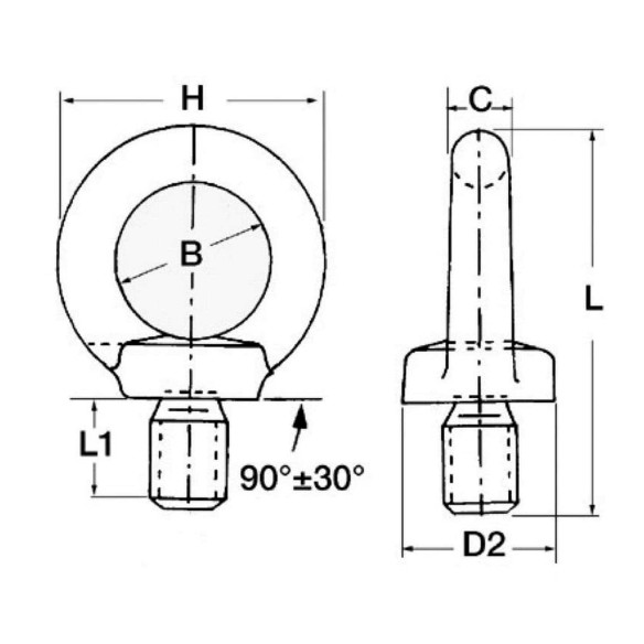 Forged eyebolt AISI 316