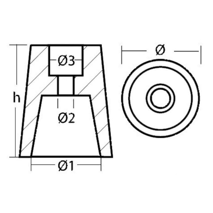 Anodo linea asse radice