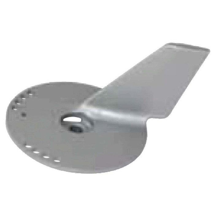 Anodo pinna x