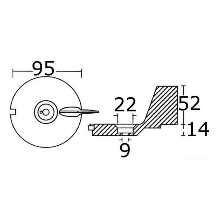 Anodo pinna Mercury