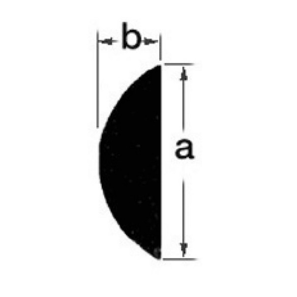 Dsection AISI 316 profile Rod