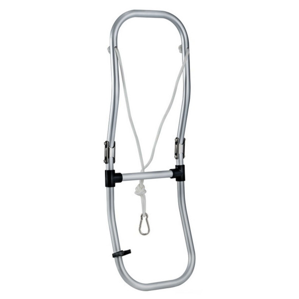 Folding ladder dinghy steps