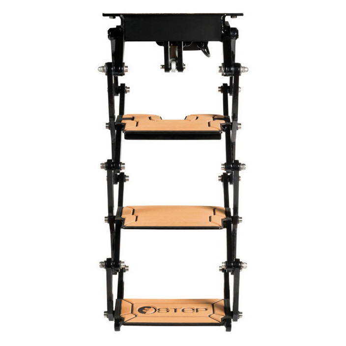 ESTEP steps electric ladder