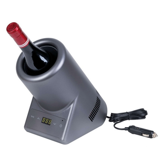 Glacette termoelettrica 12V - 220V