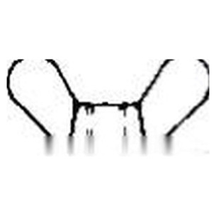 Wing nut AISI 304 GALL