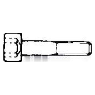 Socket head cap screw AISI 304
