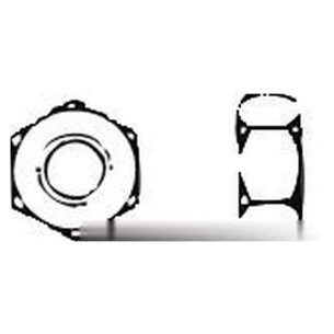 Hexagon nut AISI 316