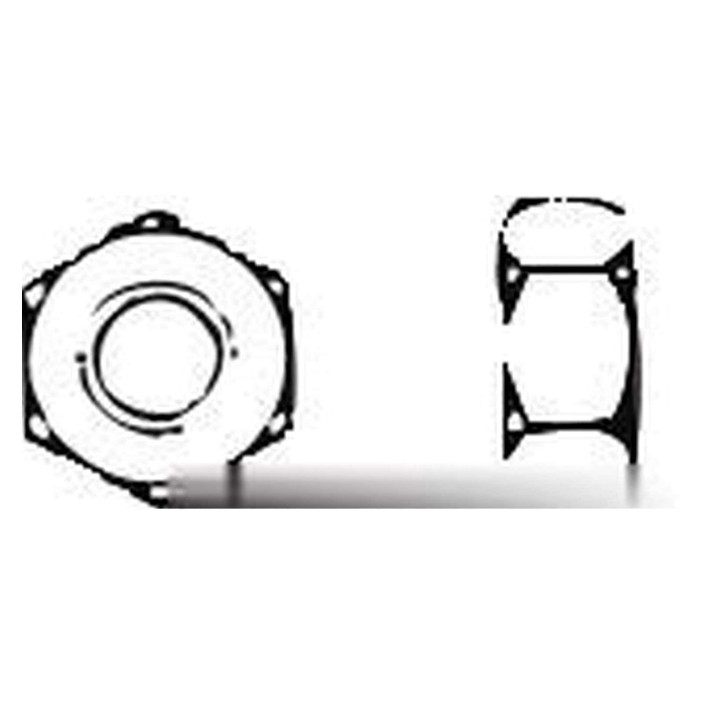 Hexagon nut AISI 316