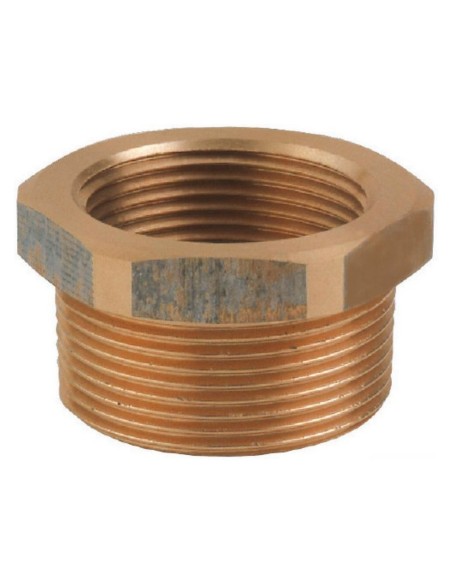 CEM Sbr selfpriming electric pump bronze screw