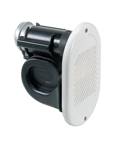 Coppia galletti JohnsonEvinrude