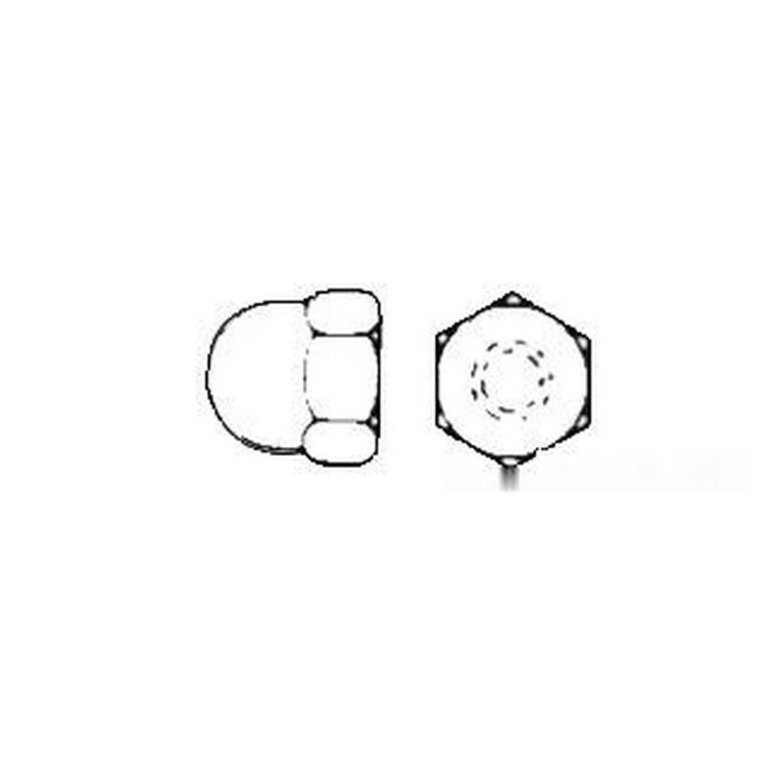 Doomed cap hexagon nut AISI 316