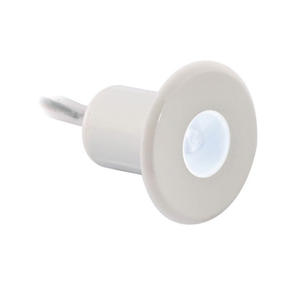 Courtesy light wsingle white LED