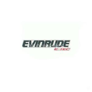 Adesivo evinrude e-tec