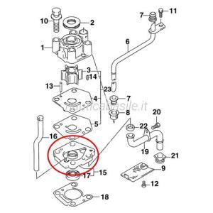 Alloggiamento pompa acqua evinrude johnson brp