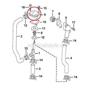 Coperchio termostato evinrude johnson brp