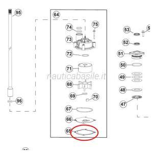 Guarnizione pompa dellacqua evinrude g2 brp