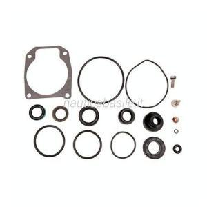 Kit o-ring e guarnizioni evinrude johnson brp