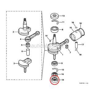 Paraolio evinrude johnson brp