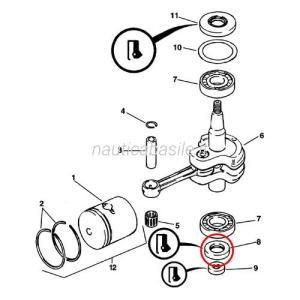 Paraolio evinrude johnson brp