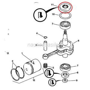 Paraolio evinrude johnson brp