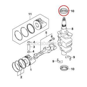 Paraolio evinrude johnson brp